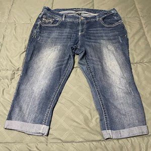 Amethyst Capris Size 22